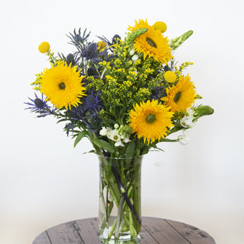 Save the Ecuadorian Field Flowers DIY Combo Box