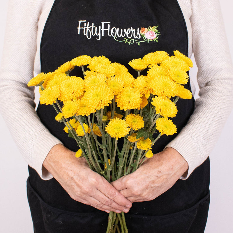Yellow Mini Button Pom Flower Bunch in Hand