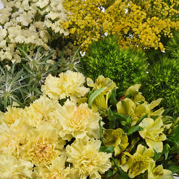 Yellow Textured Filler DIY Flower Kit Up Close
