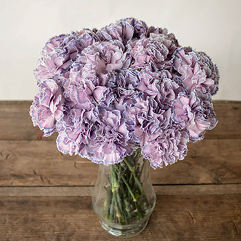 Yona Lavender Blue Carnation Flowers in a Vase